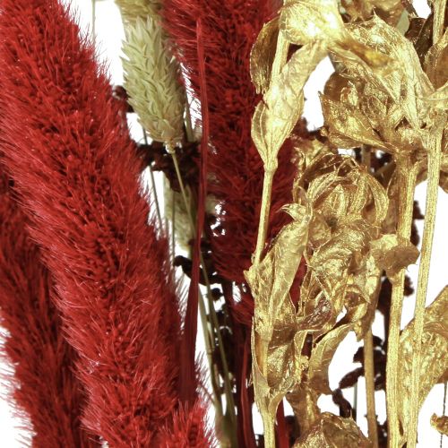 Floristik24 Ramo de flores secas grano ramo seco oro rojo 50cm