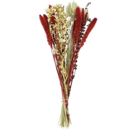 Floristik24 Ramo de flores secas grano ramo seco oro rojo 50cm