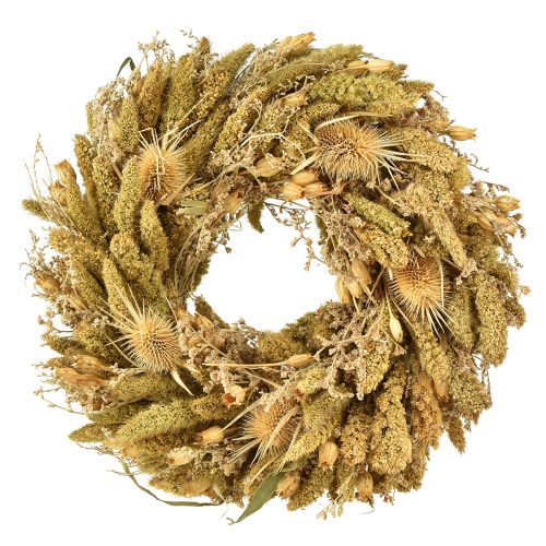 Floristik24 Tarjeta de corona seca cardos mijo amarillo verde oliva Ø28cm