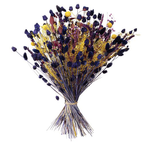 Artículo Ramo seco amarillo violeta verde eucalipto craspedia 53cm 150g