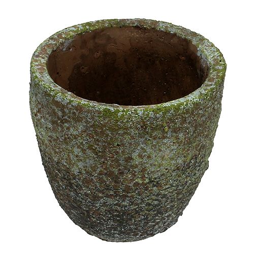 Floristik24 Jardinera con musgo Ø16cm H16cm 1p