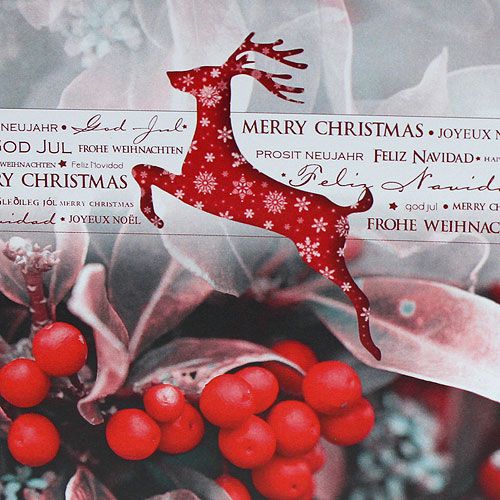 Floristik24 Tarjetas de navidad 12,5x12,5cm 6pcs