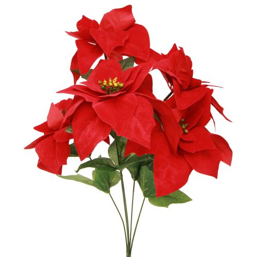Floristik24 Poinsettia Estrella De Navidad Roja Artificial L55cm 2uds