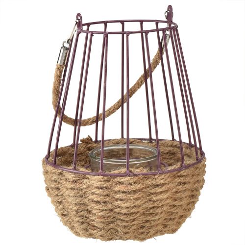 Artículo Farol con asa y cristal violeta natural Ø18cm H22cm