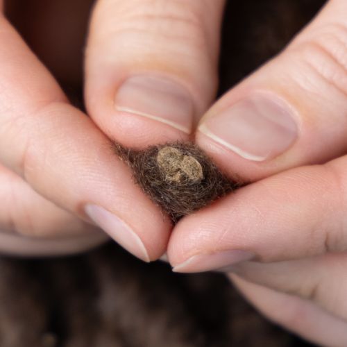 Artículo Cordón de lana Mirabell esponjoso, marrón, 25 m, cinta decorativa para floristería y manualidades