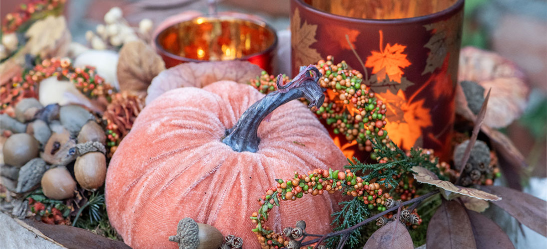 Calabazas y cometas