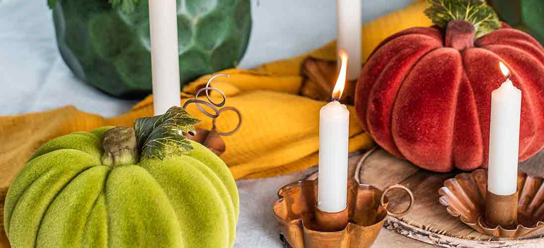 Calabazas y cometas