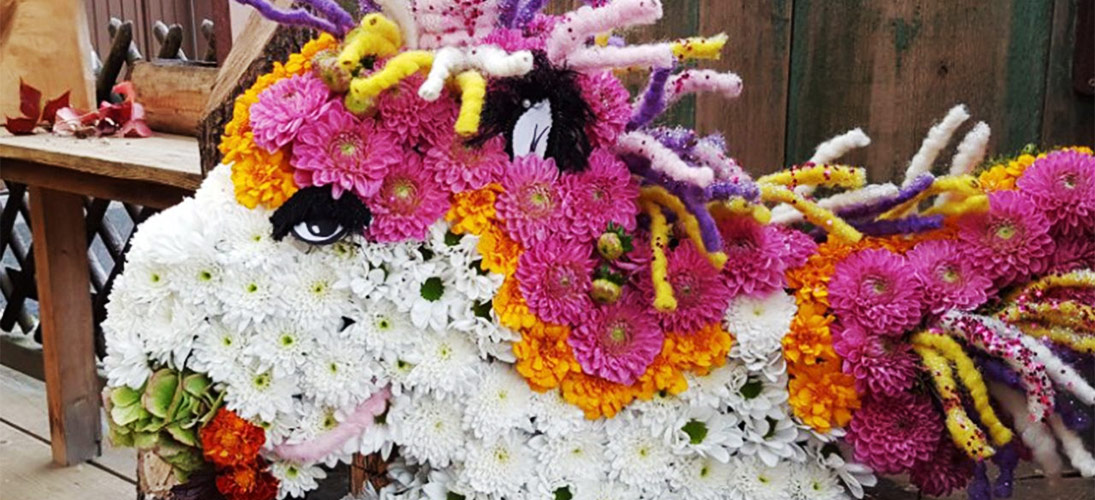 Formas especiales de espuma floral