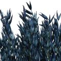 Floristik24 Flores secas, avena decoración de granos secos azul 68cm 230g