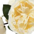 Floristik24 Rosas artificiales como flores artificiales crema real 48cm 3pcs