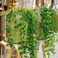 Floristik24 Planta colgante en maceta Planta verde artificial Cesta colgante