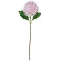 Floristik24 Hortensia artificial rosa claro flor artificial rosa Ø15,5cm 45cm