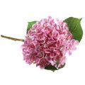 Floristik24 Hortensia artificial rosa flor artificial rosa Ø15,5cm 45cm