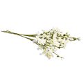 Floristik24 Ramas de flor de cerezo Flores de cerezo artificiales blanco 75cm 3ud
