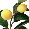 Floristik24 Rama de limón decorativa con 6 limones artificiales 100cm