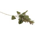 Floristik24 Rama de eucalipto rama decorativa artificial verde 60cm
