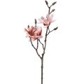 Floristik24 Rama de magnolia magnolia artificial salmón 58cm