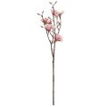 Floristik24 Rama de magnolia con 6 flores magnolia artificial salmón 84cm