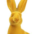 Floristik24 Conejito de Pascua decoración figura de conejo curry par de conejitos de Pascua 16cm 2uds