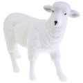 Floristik24 Oveja figura decorativa decoración de mesa Pascua blanco flocado 30×28cm