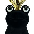 Floristik24 Rana decorativa, príncipe rana, decoración primaveral, rana con corona dorada negra 40,5cm