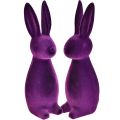 Floristik24 Conejitos de Pascua flocados figuras decorativas Pascua violeta 8x10x29cm 2ud