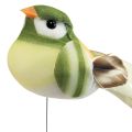 Floristik24 Pájaro de plumas sobre alambre pájaro decorativo con plumas verde naranja 4cm 12pz