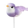 Floristik24 Pájaro de plumas sobre alambre, pájaro decorativo con plumas de colores 2,5 cm 24 piezas