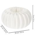 Anillo de papel de nido de abeja redondo grande con forma de calabaza para flores secas y decoración otoñal, 24 cm, 4 unidades. | Floristik24.es
