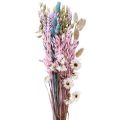 Floristik24 Ramo de flores secas flores de paja Phalaris grano 58cm