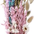 Floristik24 Ramo de flores secas flores de paja Phalaris grano 58cm