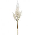 Floristik24 Pampas grass blanco crema césped artificial seco decoración 82cm