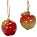 Floristik24 Manzana de cerámica decorativa de otoño para colgar, 5 cm, 4 unidades