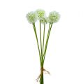Floristik24 Allium 35cm Blanco 6pcs