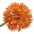 Floristik24 Cebolla ornamental Allium naranja artificial Ø7cm H58cm 4pcs
