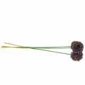 Floristik24 Allium ornamental púrpura artificial 70cm 3pcs