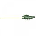 Floristik24 Flecha artificial hoja planta artificial alocasia deco verde 74cm