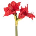 Flor artificial de amarilis roja con tallo, decoración floral para Navidad, 50 cm. | Floristik24.es
