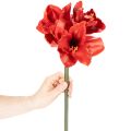 Flor de amarilis artificial, roja, de tallo largo, para jarrón y arreglos florales, 77 cm. | Floristik24.es