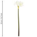 Flor artificial de amarilis, blanca, con tallo, Adviento y Navidad, 50 cm | Floristik24.es