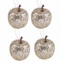 Floristik24 Deco mini árbol de manzana con purpurina champagne Ø3.5cm 24pcs