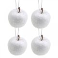 Floristik24 Deco mini apple glitter blanco adornos para árboles de Navidad Ø3.5cm 24pcs