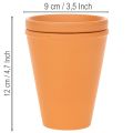 Depósito de agua Aquasafe con bebedero para insectos para jardín, balcón, terraza, 12 cm, 3 unidades | Floristik24.es