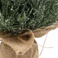 Floristik24 Mini árbol de Navidad cubierto de nieve artificial en un saco H41cm