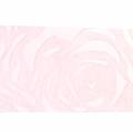 Floristik24 Cinta decorativa rosas ancho rosa 63mm 20m