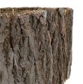 Floristik24 Rollo de corteza de árbol Naturaleza 10cm 1m