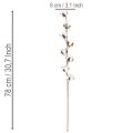 Rama artificial de algodón con 8 flores naturales, 78 cm. | Floristik24.es