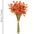Racimo de bayas naranjas, de 20 cm de largo. | Floristik24.es