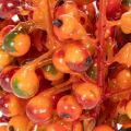 Racimo de bayas naranjas, de 20 cm de largo. | Floristik24.es