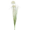 Floristik24 Flores artificiales bola flor allium cebolla ornamental artificial blanco 90cm